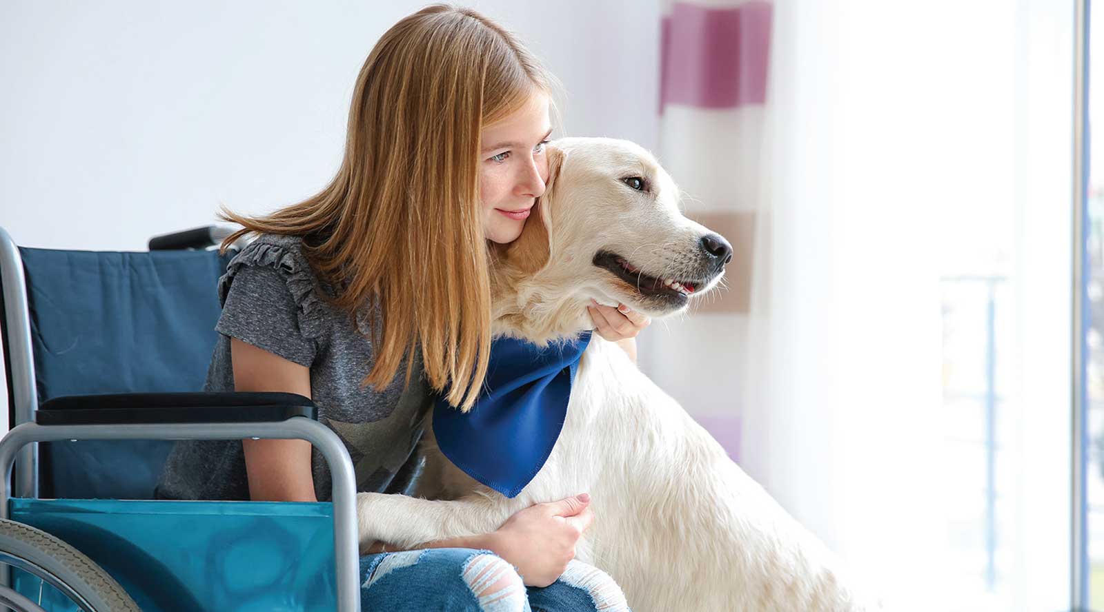 A young girl in a wheel chair with her assistance dog representing NDIS Referrals