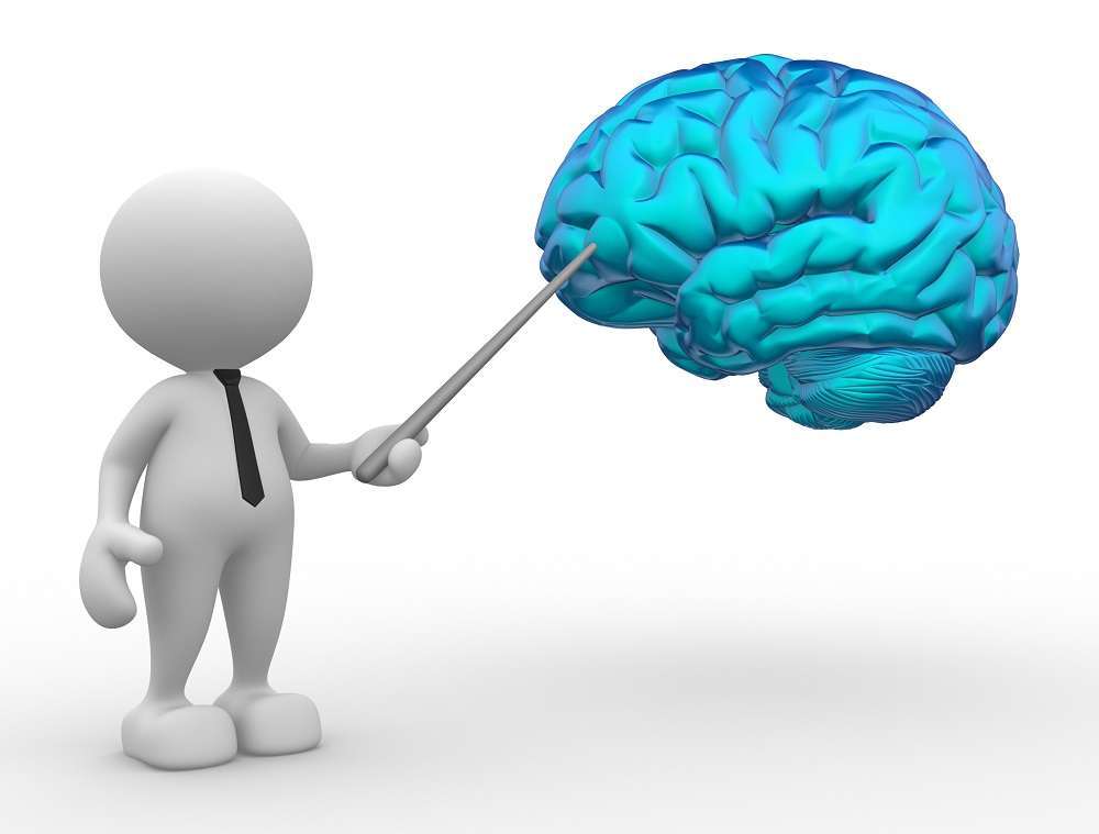 Person Pointing to a Brain