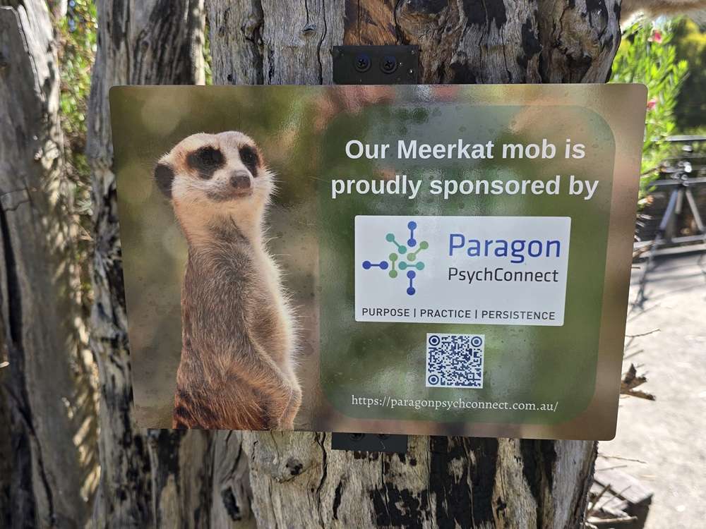 Paragon PsychConnect Meerkat Sponsorship Sign