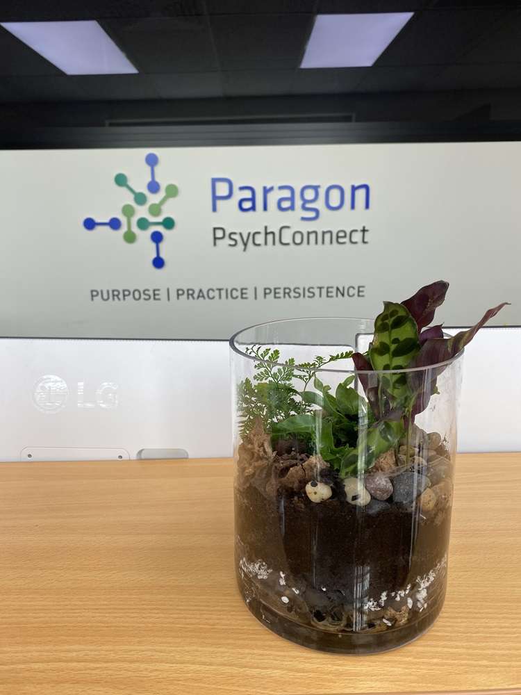 A terrarium in front of the Paragon PsychConnect sign in the office