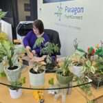 Angela at Her Desk - Paragon PsychConnect Angela at her desk surrounded by her plants and lego