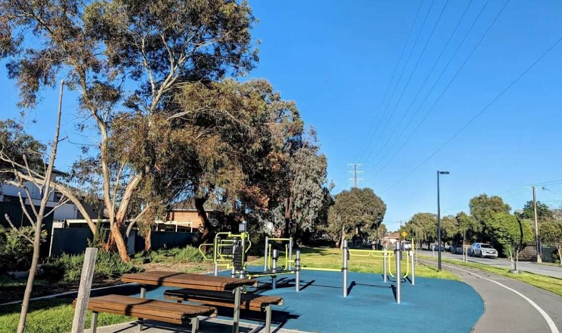 Camden Park Outdoor Gym - Paragon PsychConnect Outdoor gym in Camden Park amongst gum trees