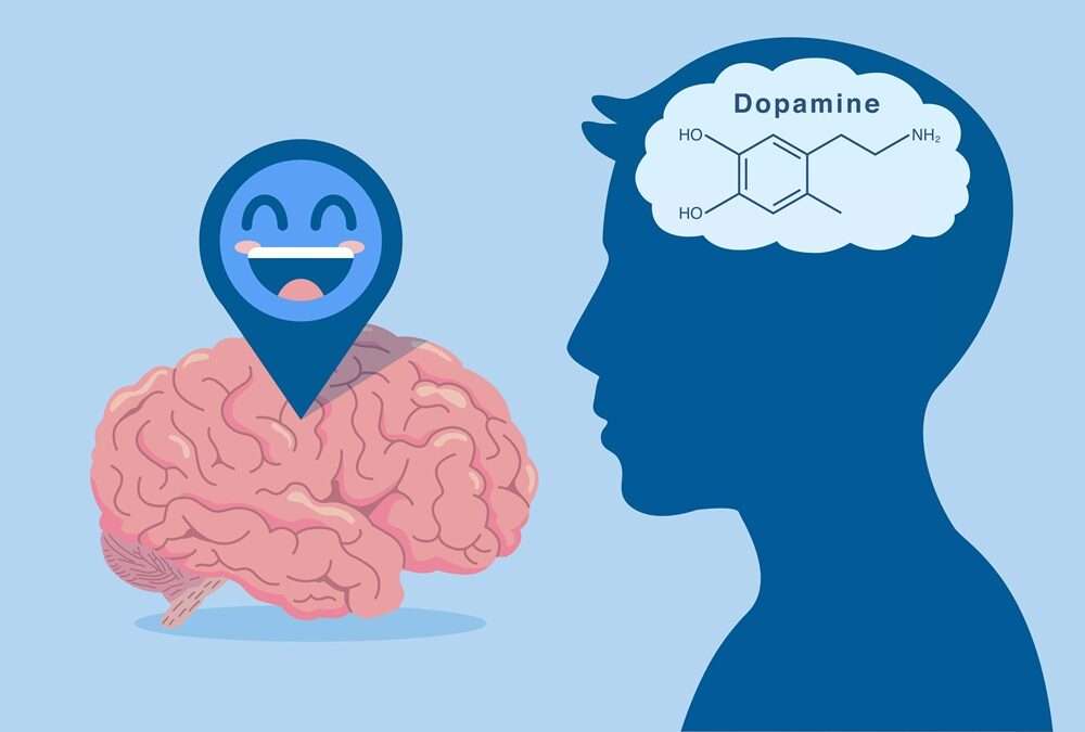 Illustration of a brain and a human head silhouette. The brain has a smiling icon, and the head shows “Dopamine” with a chemical diagram, representing the brain chemical linked to happiness and reward.