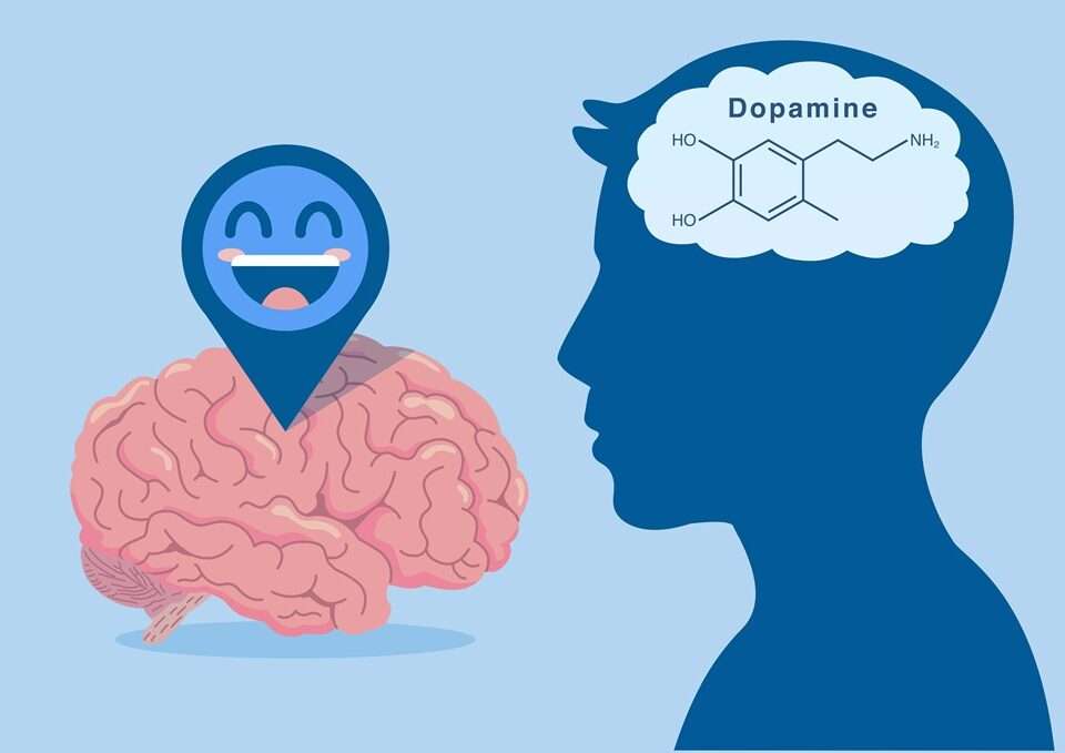 Illustration of a brain and a human head silhouette. The brain has a smiling icon, and the head shows “Dopamine” with a chemical diagram, representing the brain chemical linked to happiness and reward.