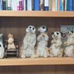 Maria's office bookshelf with books and meerkats