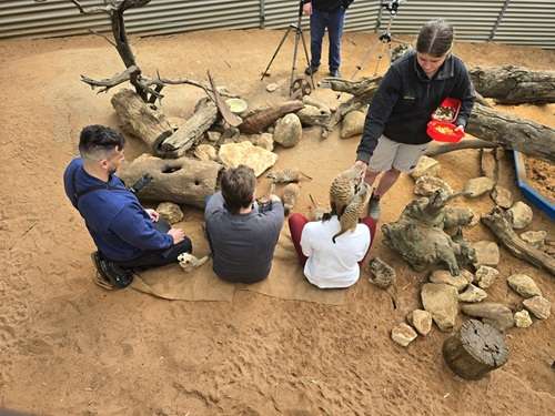 Hugh Hannah Will Meerkat Encounter - Paragon PsychConnect Hugh, Hannah, and Will experiencing the Meerkats at Gorge Wildlife Park