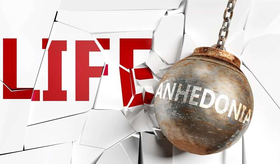 Anhedonia written on a wrecking ball smashing into a white background with the word Life on it