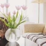 Two Bengal cats in a lounge room. On eon a lounge and the other on the table